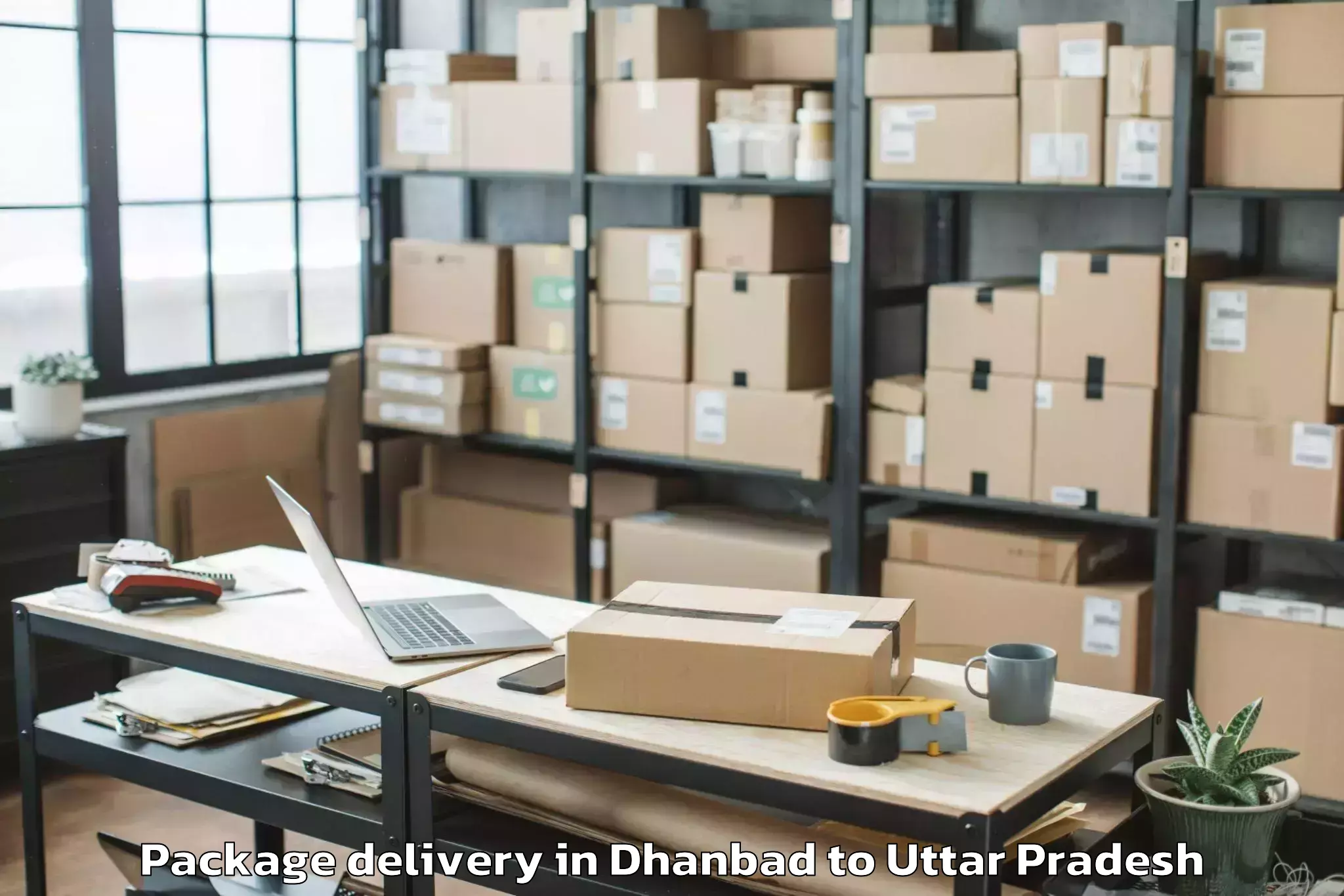 Book Dhanbad to Motilal Nehru National Institu Package Delivery